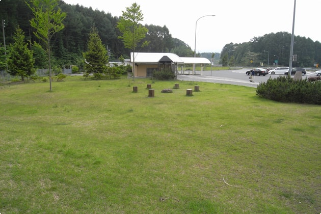入り口側に、広々とした緑地があります。