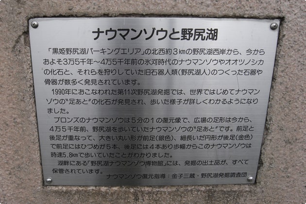 野尻湖とナウマンゾウの関係は？