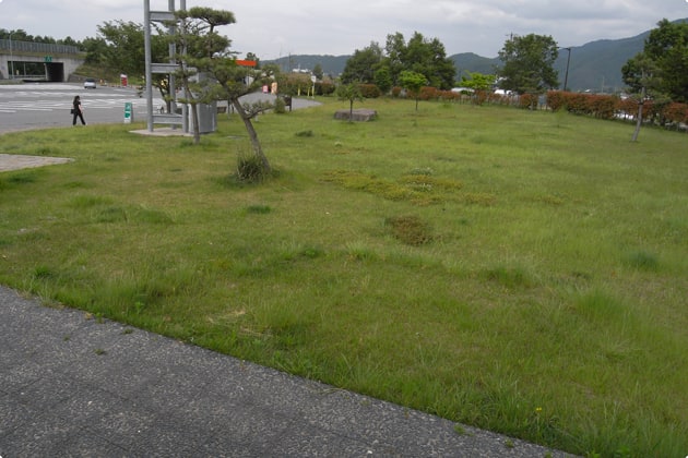 こちらは出口側の緑地です。