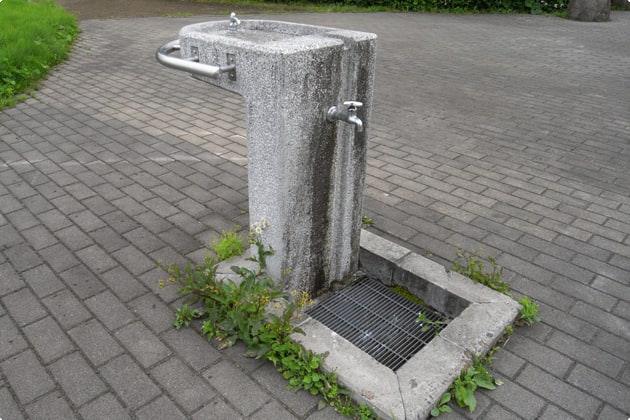水飲み場もあります