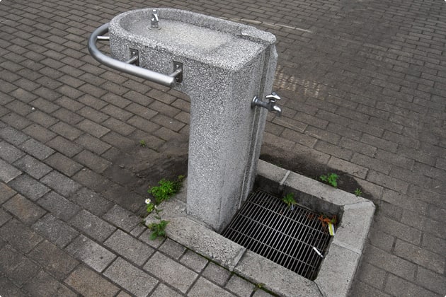 水飲み場があるので、わんこの水分補給も忘れずに！