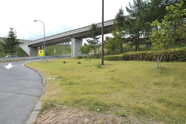 サービスエリアに入ってすぐ目につく緑地。利用する際は、車の往来に気をつけましょう。