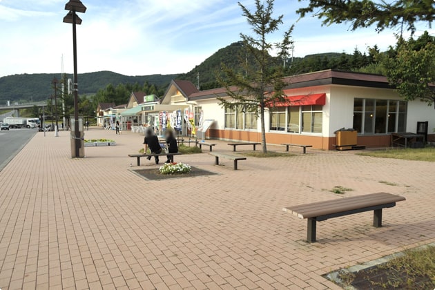 歩道は広々としており、わんことの移動も楽ちん！