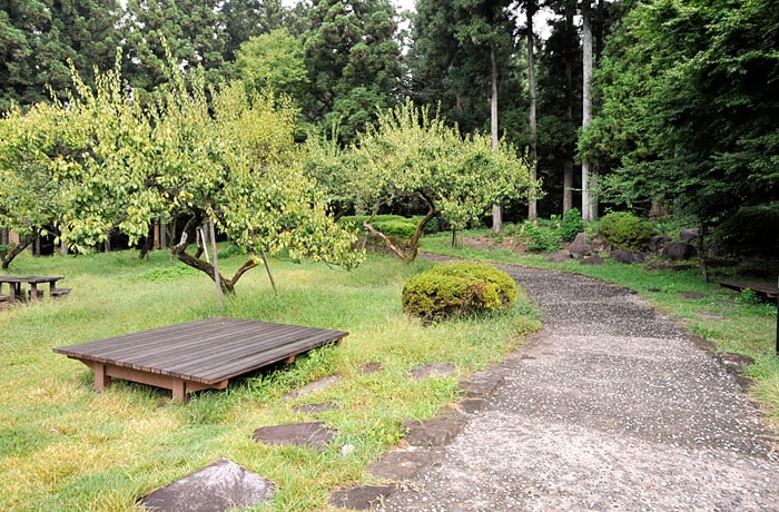 庭園内には遊歩道がありますので、わんこと一緒に歩いてみましょう。
