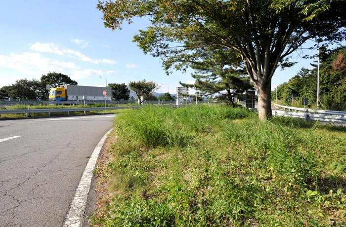 入口側にある緑地。利用する際は、車の往来に気をつけましょう。