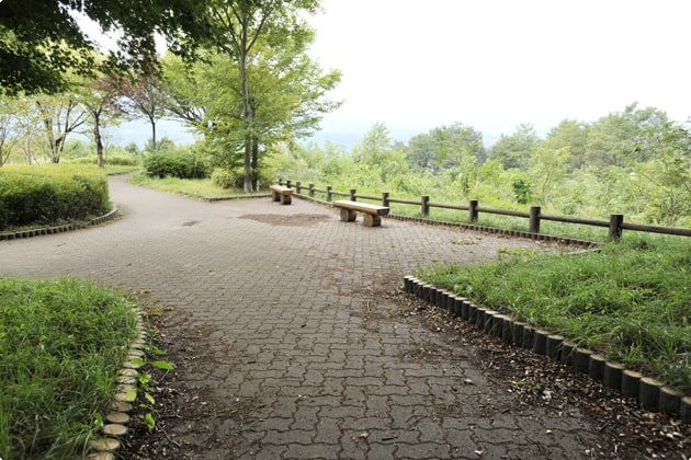 奥に広がる遊歩道。お天気の良い日はまわりの山々を見ることができます。