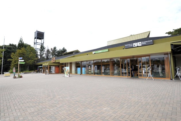 サービスエリア全景です。建物前の歩道は広々。