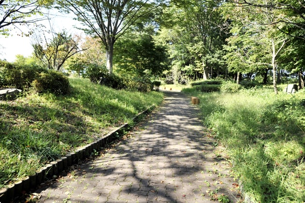遊歩道があり、わんことお散歩を楽しめます。