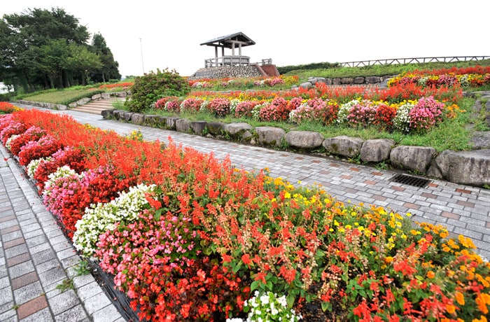 サービスエリア入り口側に、花壇のある展望台があります。