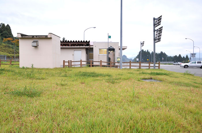 建物に向かって左手に、緑地があります。