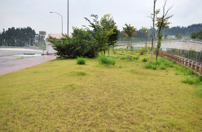 こちらは出口側の緑地です。