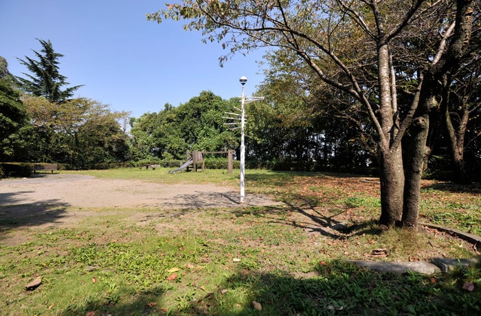 サービスエリア出口側にある緑地です。