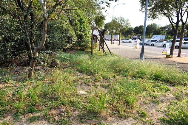 こちらは入口側の小さい緑地です。
