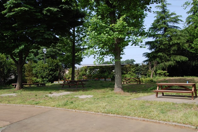緑地にはベンチが多数あります。