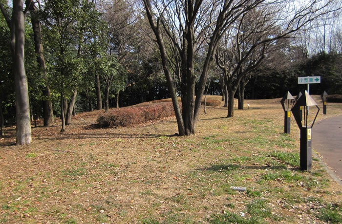 緑地は入り口側にあります。