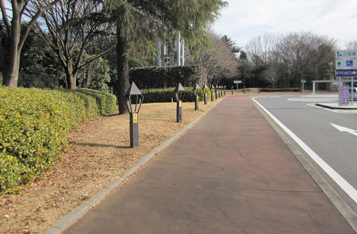 入り口側から見た緑地です。
