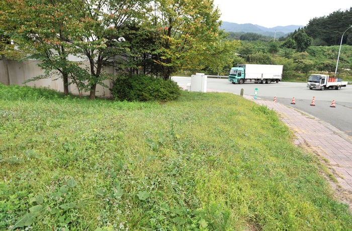 入り口側に、緑地があります。