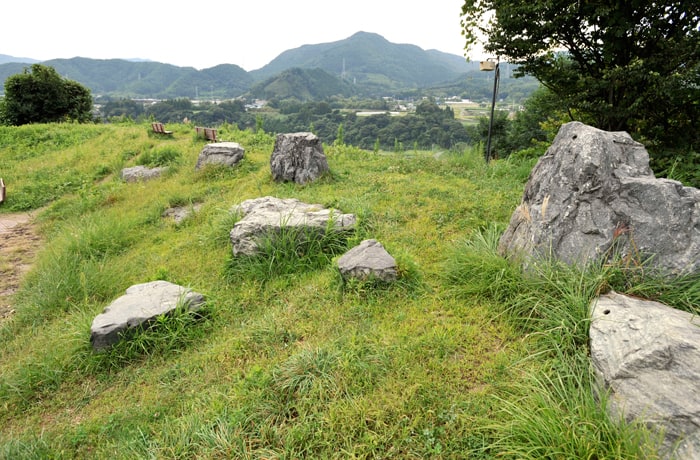 自然の傾斜を活かした緑地です。