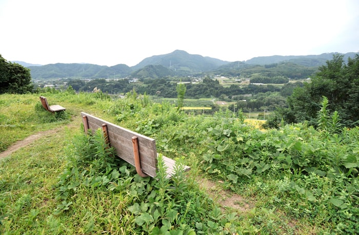 高台にはベンチが設置され、緑を眺めながらくつろぐことができます。