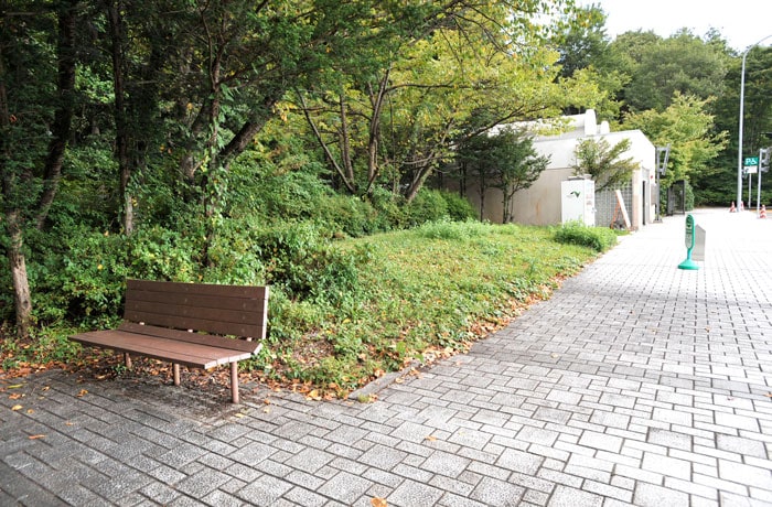 建物横に、芝地があります。