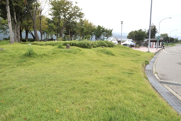 入口側の広々した緑地です。