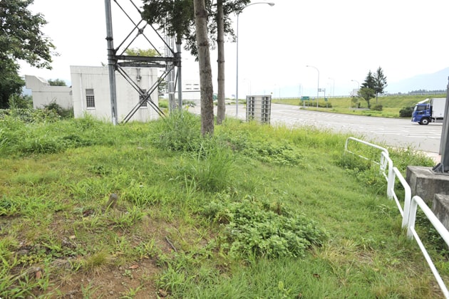 出口側の緑地です。