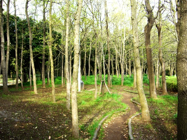 「くぬぎの森」の中に遊歩道がありますので、わんこと一緒にお散歩できます。