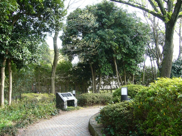 様々な詩碑が設置されています。わんことお散歩しながら眺めることができます。