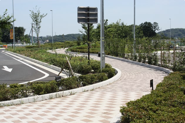 入り口側にも遊歩道があります。