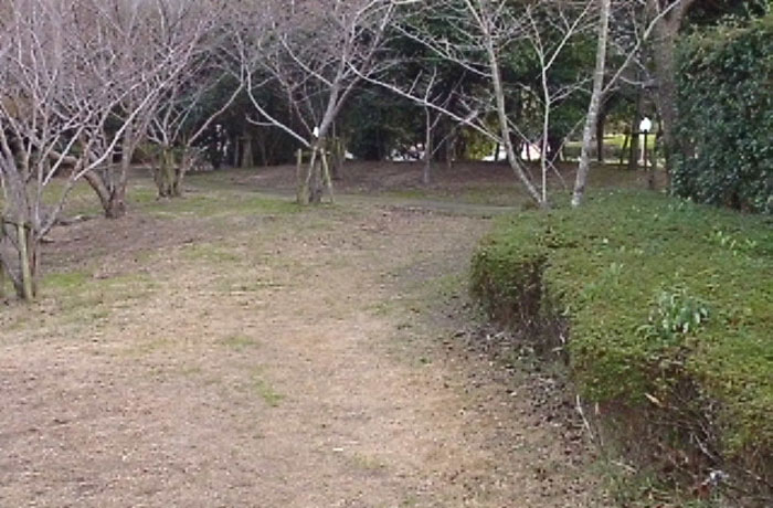 風を感じながらのお散歩も良いですね！