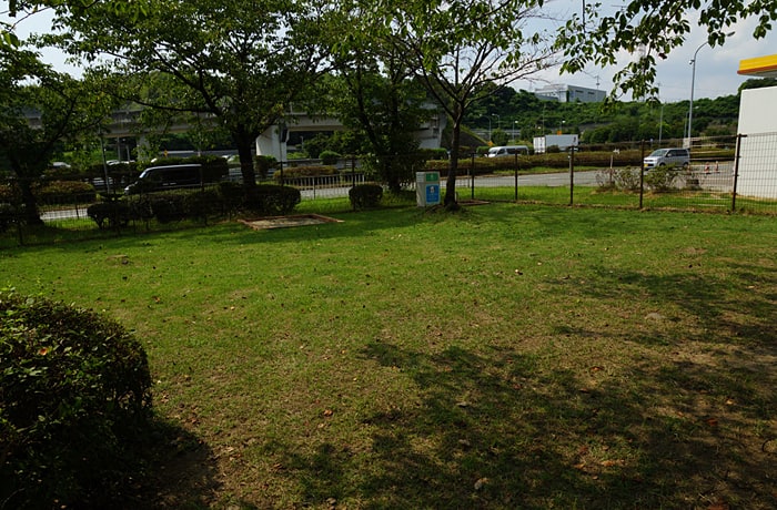 「犬のひろば」内。木陰もあって、涼しげ！