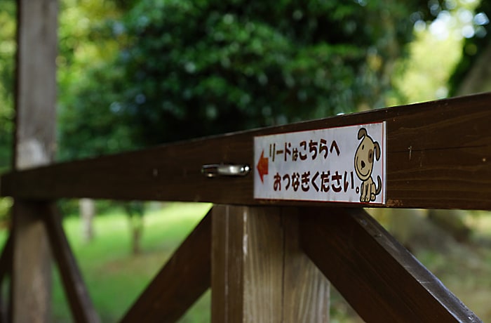 リードフックもあり、とっても便利。