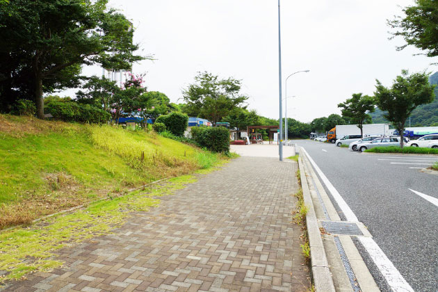 入り口側から見た、歩道と緑地。わんことお散歩ができそうです。