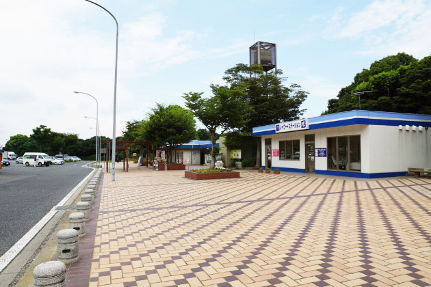 建物前の通路は広いので、安心してお散歩ができますよ。