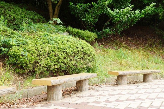 こちらのベンチでのんびり過ごすのも良いですね。