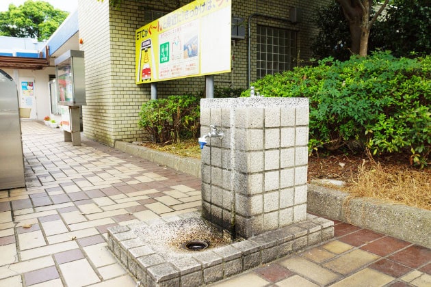 水飲み場が設置してあります。