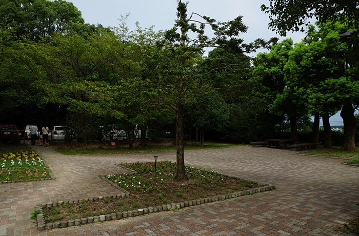 サービスエリア内には、沢山の花々と木々があります。