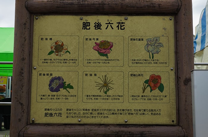 肥後六花の説明が書いてあります。