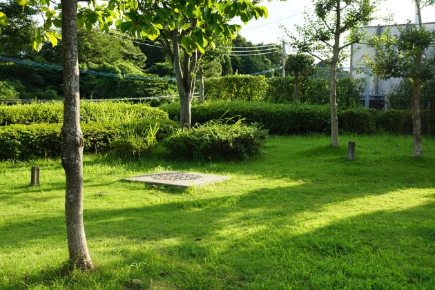 緑地は大きくないですが、お散歩ができる広さはあります。