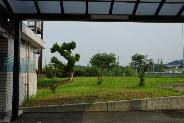 お散歩ができそうな緑地があります。