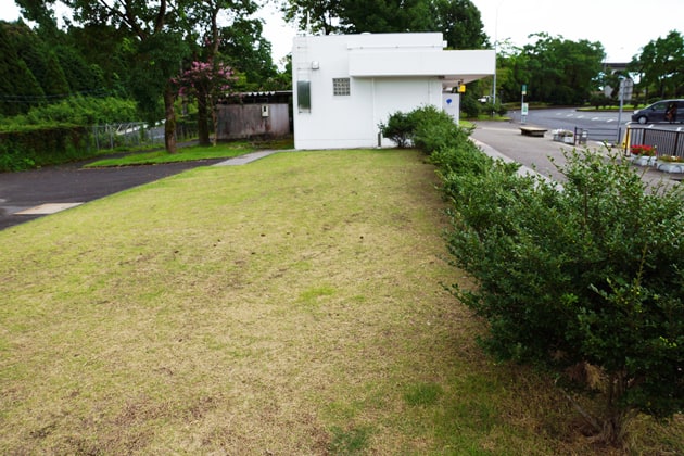 建物のすぐ横に緑地があります。