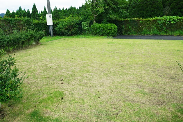 緑地でお散歩ができそうですね。