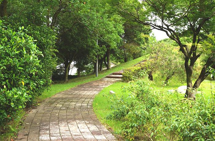 遊歩道をわんこと一緒にお散歩しましょう。