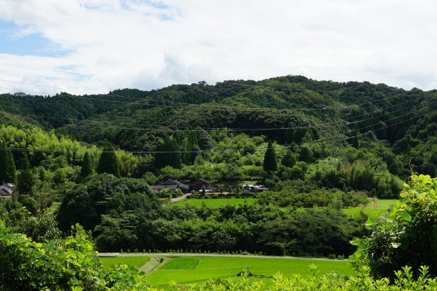 目の前に広がる景色を眺めると、リフレッシュできますよ。