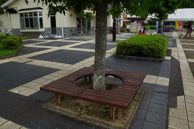 木陰のベンチです。