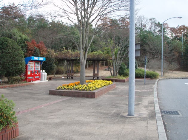 トイレの建物に向かって右側にベンチがあります。