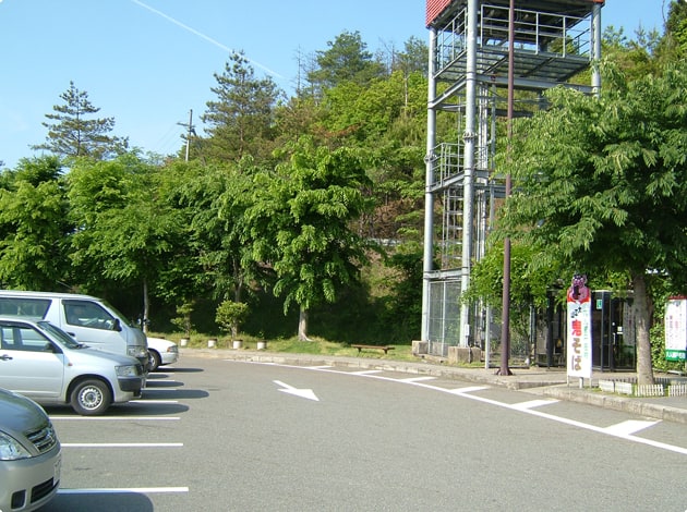 歩道に沿って、少しばかりの緑地があります。