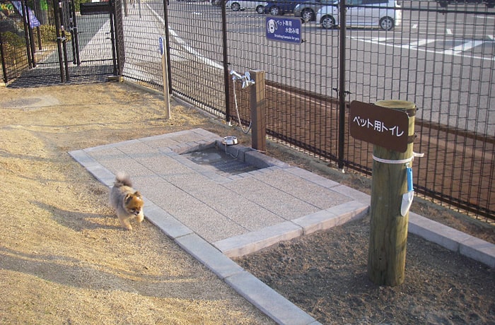 わんこ用シャワー付き水飲み場とトイレです。 