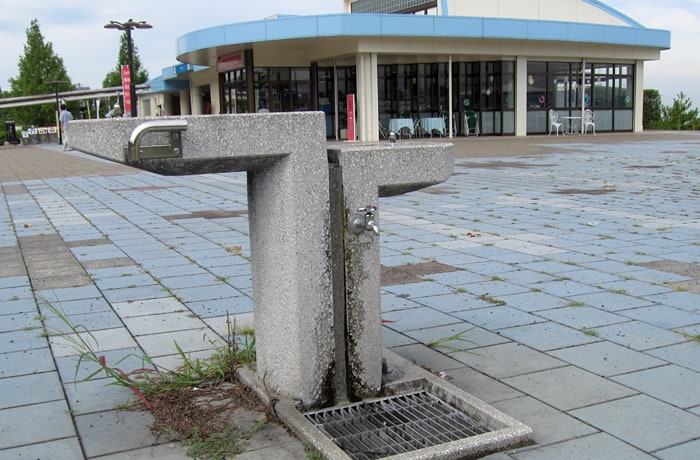 水飲み場もありますよ。