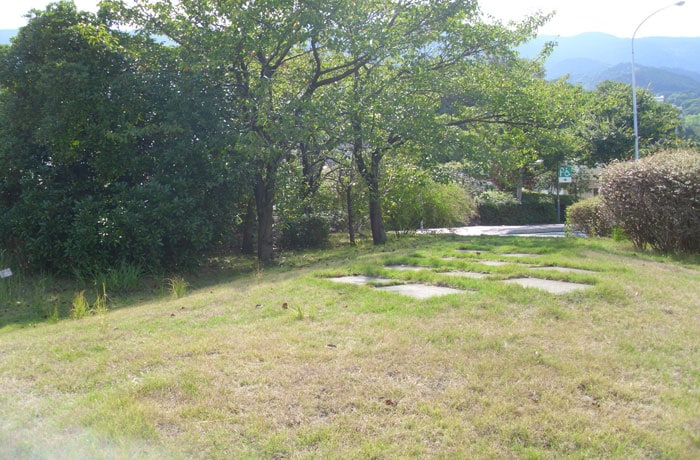 ちょっとした緑地があります。
